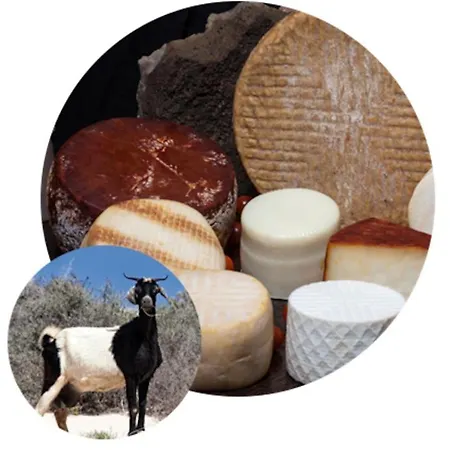 Apartament Casa Mae Caleta De Fuste